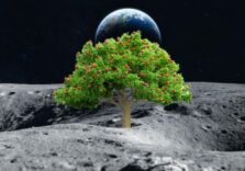 I progetti di coltivazioni su Luna e Marte al Festival dello Spazio di Busalla