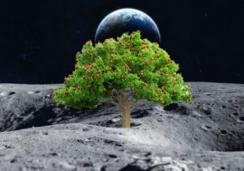 I progetti di coltivazioni su Luna e Marte al Festival dello Spazio di Busalla