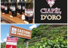 Valtellina, torna il Ciapél d’Oro, concorso di vini locali
