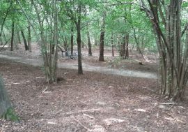 Regione Lombardia plaude l’attività delle Polizie locali al Parco Groane per la lotta allo spaccio di droga