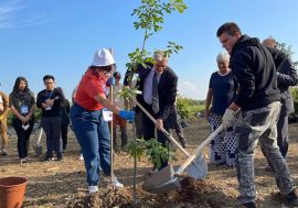 Regione Lombardia, piantumazione di 20 alberi a Milano con giovani provenienti da ogni parte del mondo