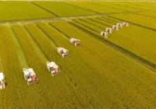 Cibo e cambiamento climatico, i giovani protagonisti di una tre giorni a Milano per sensibilizzare la cittadinanza