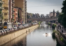 Velocità, musica e acrobazie in Darsena con il Wake the city