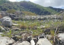 ‘Le Vie del Sale tra Provenza, Liguria e Piemonte’: convegno a Rezzo per conoscere e rivalutare gli antichi tracciati