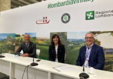Ascovilo e Intesa Sanpaolo, un patto per rilanciare il settore vitivinicolo lombardo