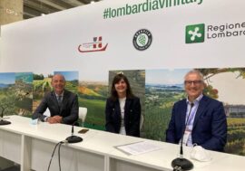 Ascovilo e Intesa Sanpaolo, un patto per rilanciare il settore vitivinicolo lombardo
