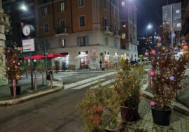 Milano, gli alberi di Natale ‘circolari’ del quartiere all’Isola dopo le festività saranno ricollocati al Parco Nord
