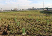 Milano, gli svincoli autostradali diventano nuove isole verdi