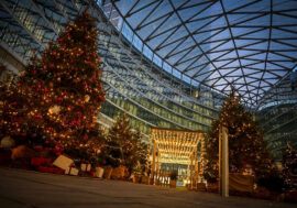 Milano, proseguono iniziative varie e film con ‘Il Natale brilla a Palazzo Lombardia’