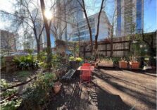 Milano, firmato in Comune patto di collaborazione per la cura del giardino di via Pepe con l’Associazione Isola verde
