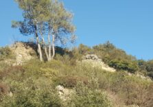 Fortezza bizantina di Campo Marzio, luogo leggendario per la Liguria
