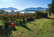 ReStartApp 2022 riparte dall’Irpinia. Candidature aperte fino al 6 maggio