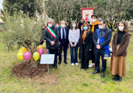 Mantova, in ricordo di Falcone, Borsellino e scorta una targa e albero di ulivo