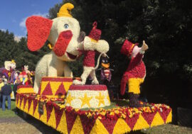 Pasqua all’insegna dei tulipani a Castiglione del Lago