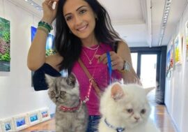 Nasce a Milano il primo hotel per gatti