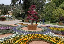 Genova, Euroflora vi aspetta per ammirare un mondo di rara bellezza
