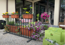 Milano, ‘Balconiamo’ per rendere più bella la città con piante su balconi e davanzali