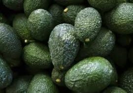 Avocado, il frutto della salute fa bene al cuore, cervello e arterie