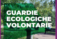Dopo la pandemia tornano le visite guidate nei parchi milanesi