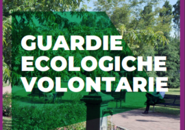 Dopo la pandemia tornano le visite guidate nei parchi milanesi