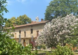 Milano, Cascina Cuccagna festeggia il decennale e apre a nuovi servizi