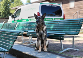 Milano, nuove panchine al Parco Forlanini per l’unità cinofila della Polizia locale