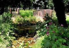 Milano, al Museo Botanico riprendono da domani visite e appuntamenti