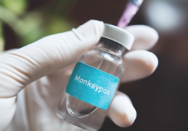 Vaiolo delle scimmie, dal 1 settembre in Lombardia riprendono le prenotazioni per vaccinarsi