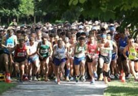 Milano, arriva al Parco Nord la festa dello sport, tra yoga, corsa e tanto altro