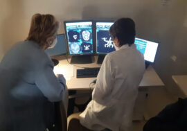Giornata mondiale della fisioterapia, la cura dell’osteoartrosi diventa personalizzata