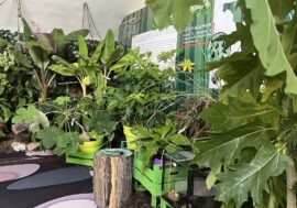 Milano, appuntamenti speciali al Parco Nord con ‘Dentro le foreste’ la mostra immersiva di Scuola Forestami