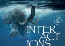 Natura e pianeta, all’Anteo di Milano proiezione gratuita di “Interactions: When Cinema looks to Nature”
