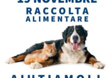 Supermercati Il Gigante e Balzoo promuovono una raccolta alimentare per cani e gatti