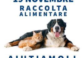 Supermercati Il Gigante e Balzoo promuovono una raccolta alimentare per cani e gatti