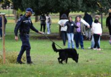 Milano, controlli al Parco Trotter e vie adiacenti dalla Polizia locale