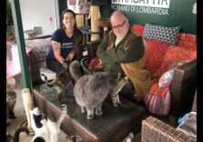 Pizzata benefica per aiutare il gattile di Romano Lombardia con Maura Anastasia ed Edoardo Raspelli protagonisti