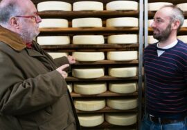 I Bettelmatt a confronto, degustazione dei formaggi prodotti in sette differenti alpeggi del Verbano a Domodossola