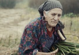‘The journey of the bees’, è un film italiano il vincitore del “Fiorenzo Serra” 2022