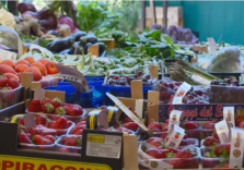 Giornata contro lo spreco alimentare, Milano cerca di sensibilizzare i cittadini al recupero del cibo