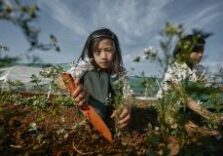 L’emergenza climatica in Myanmar negli scatti di Gianfranco Ferraro in mostra a Palazzo Ateneo di Bergamo