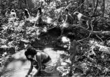 Continua con successo alla Fabbrica del Vapore di Milano la mostra di Sebastião Salgado “Amazônia”