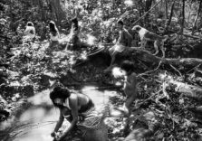 Alla Fabbrica del Vapore di Milano apre al pubblico la grande mostra di “Sebastião Salgado. Amazônia”