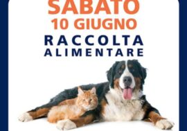 Associazione Banco Italiano Zoologico Onlus e Il Gigante raccolgono cibo da destinare a cani e gatti privi di padrone