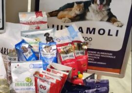 La raccolta di cibo per cani e gatti, Banco Alimentare ‘Balzoo’ e Il Gigante è stata un successo