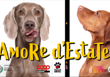 Milano, al Castello Sforzesco torna l’iniziativa ‘Alimenta l’Amore’ per farsi fotografare con il proprio animale