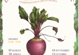 Milano, appuntamento al Museo Botanico per imparare i segreti del giardinaggio