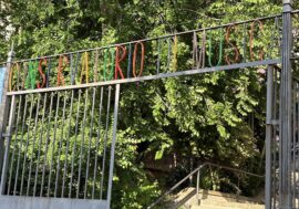 Il Canepa di Sassari tra i primi Conservatori italiani ad adottare regolamento per carriera “alias”