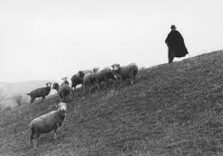 Mostra omaggio a Francesco Radino al MuFoCo di Cinisello Balsamo