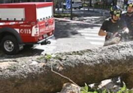 “Insieme per il verde”, il Comune di Milano chiama a raccolta volontari per riportare gli spazi verdi alla piena vivibilità