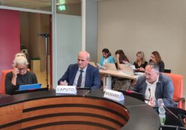 Regione Lombardia, per la peste suina presentato Piano nazionale contro la diffusione del virus